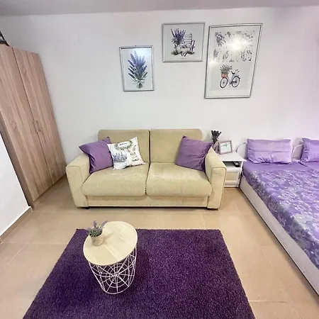 House Velevi 아파트