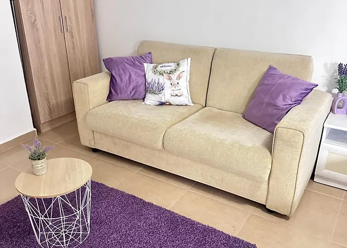 House Velevi * Sweti Wlas